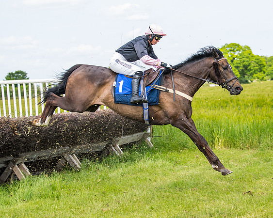 Race 1 - The Little Red owner Trainer conditions (204 of 345)
