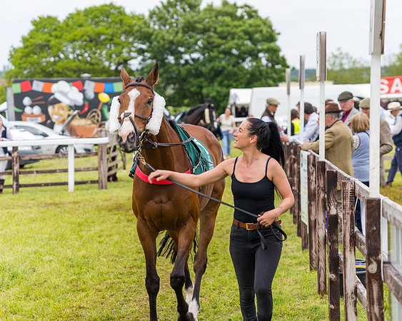 Race 7 - Veteran Horse conditions (10 of 244)