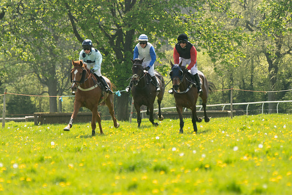 Race 2 - Veteran Horse  (52 of 82)