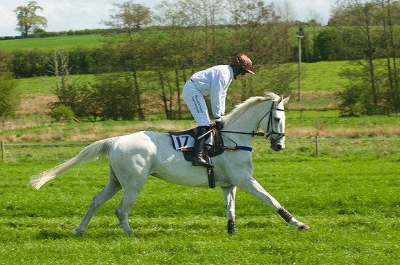 Race 2 - Open Maiden  22