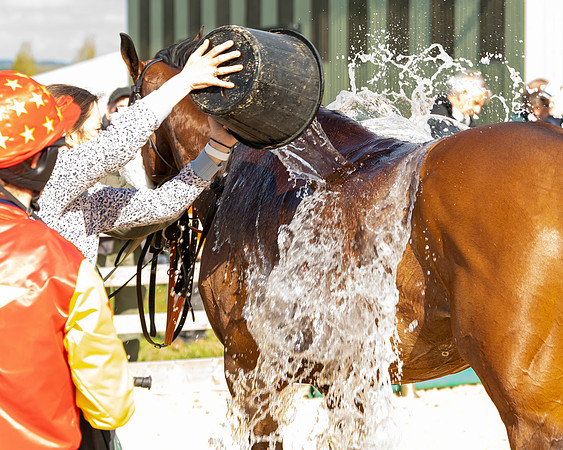 Race 5 - Novice and Veteran Riders (83 of 91)