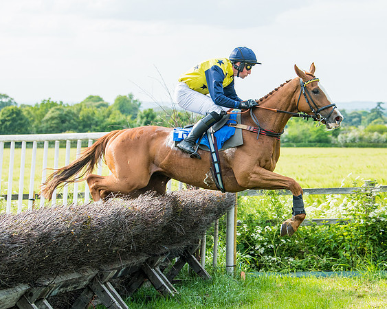 Race 6 - Open Maiden (182 of 346)