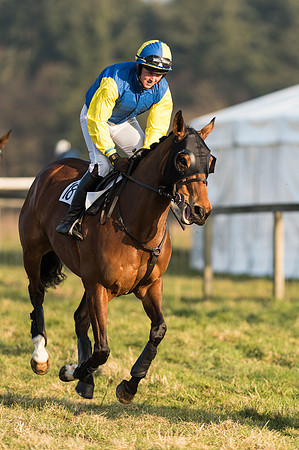 Race 6 - Open Maiden Div 1 (3 of 83).jpg