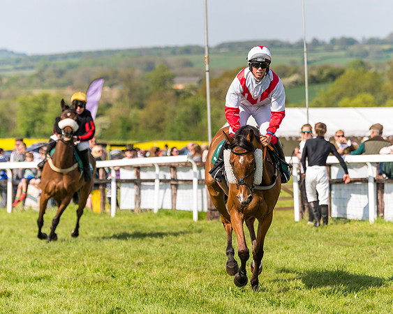 Race 4 - PPORA Novice Riders  (21 of 203)