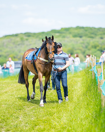 Race 2 - PPORA Novice Riders (64 of 444)