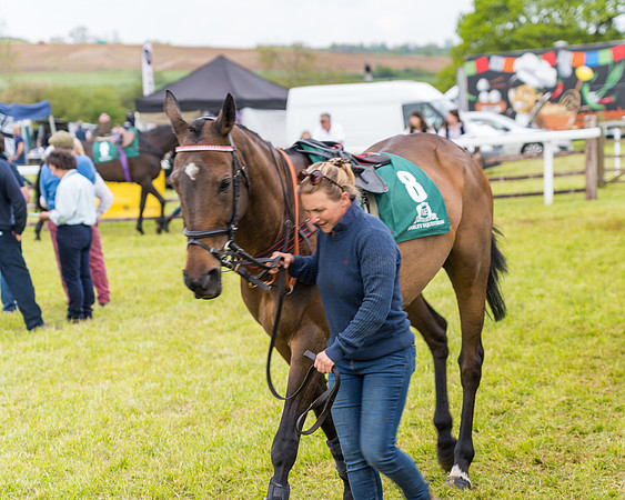 Race 7 - Veteran Horse conditions (26 of 244)