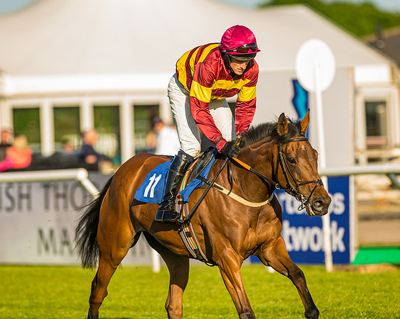 Race 4 - Foxhunters Championship (46 of 175)