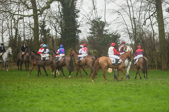 Race 5 - Ladies Open Race (28 of 119).jpg
