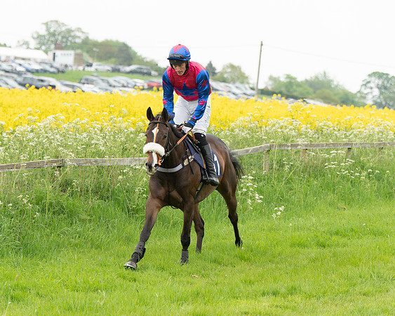 Race 2 - Five and Over restricted (20 of 136)