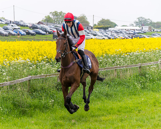 Race 6 - The Maiden [NWFAA] (22 of 143)