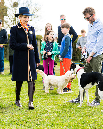 Dog show etc (98 of 157)