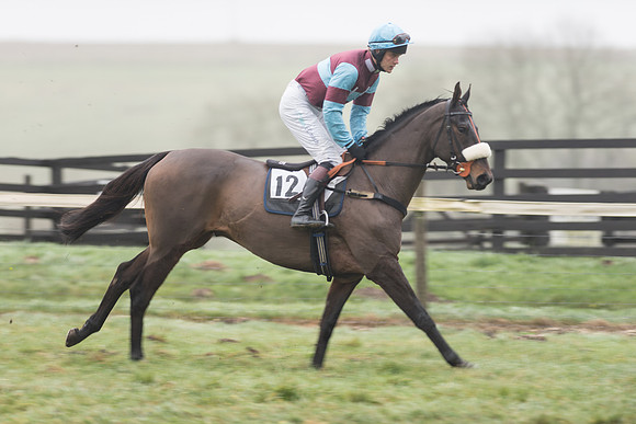Race 5 - The Intermediate (15 of 59).jpg