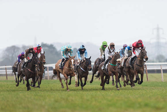 Race 6 - Open Maiden Race Div 1  (50 of 90).jpg