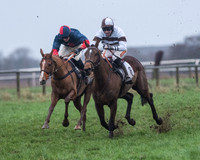 Race 8 - Young Horse maiden