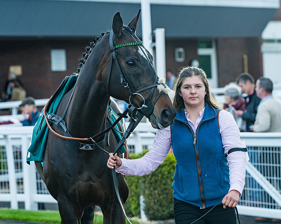 Race 5 - Mares Open  (10 of 329)