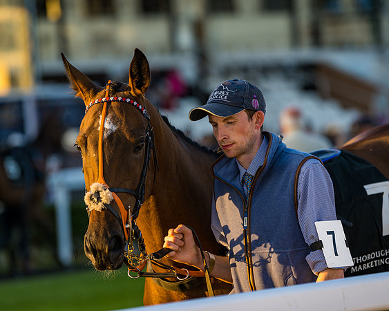 Race 7 - ITM NH Flat Race (43 of 197)