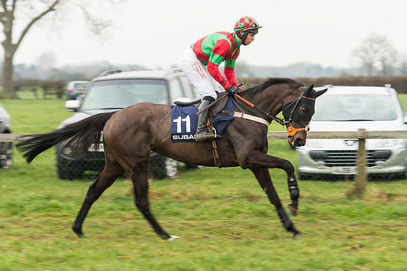 Race 5 - The Restricted Race (38 of 86).jpg