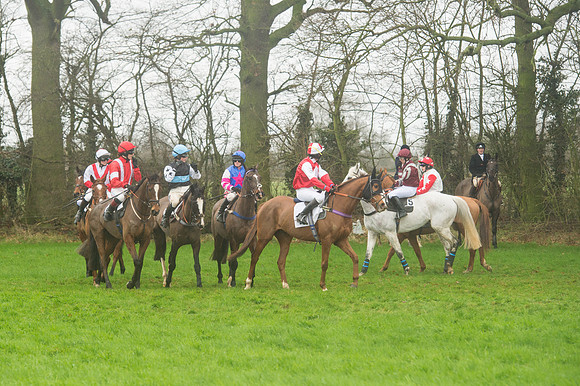 Race 5 - Ladies Open Race (29 of 119).jpg