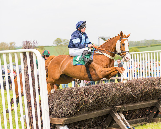 Race 2 - Owner-Trainer Conditions  (106 of 208)