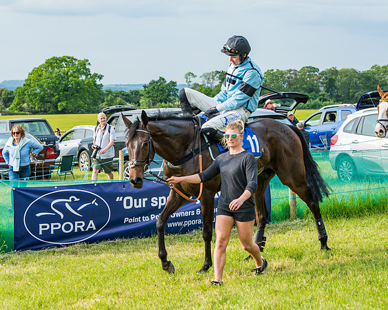 Race 6 - Open Maiden (268 of 346)