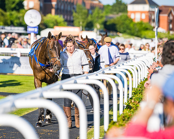 Race 3 - John Corbet Cup (11 of 127)
