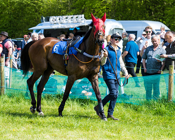 Race 3 - The Ladies open (13 of 104)