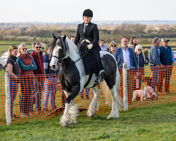 Side Saddle dash  (9 of 170)