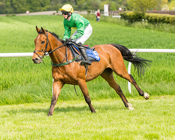 Race 2 - The Restricted Race  (47 of 122)