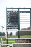 Race 8 - Young Horse Maiden  (2 of 85).jpg