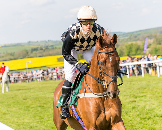 Race 4 - PPORA Novice Riders  (44 of 203)