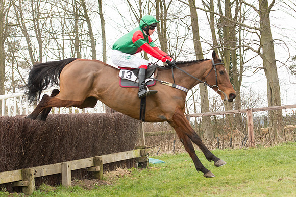 Race 2 - PPORA Novice riders  (112 of 186).jpg