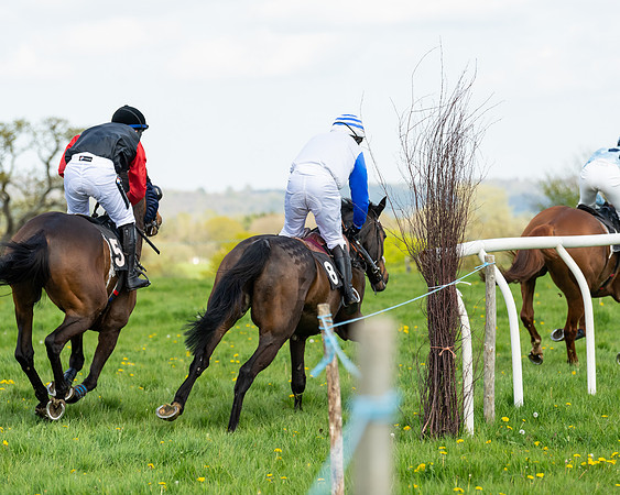 Race 2 - Veteran Horse  (79 of 82)