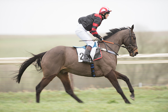 Race 1 - Novice Riders (27 of 86).jpg