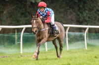 Pony Race 2 -  (17 of 17).jpg