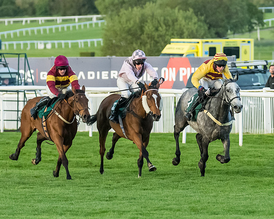 Race 5 - Mares Open  (121 of 329)