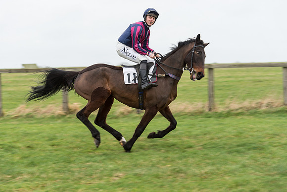 Race 7 - Open Maiden (28 of 131).jpg