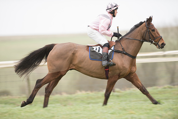 Race 1 - Novice Riders (32 of 86).jpg