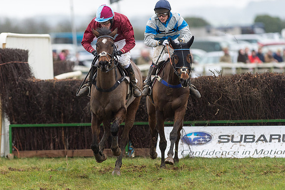 Race 6 - Open Maiden Race Div 2  (99 of 118).jpg