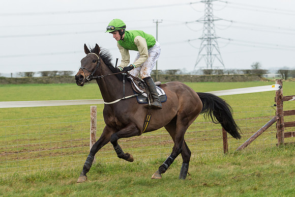 Race 6 - Open Maiden Race Div 1  (20 of 90).jpg
