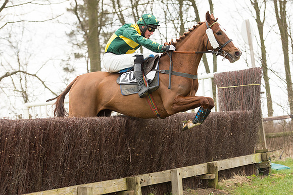 Race 2 - PPORA Novice riders  (115 of 186).jpg