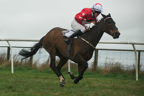 Race 8 - Pony Race 2 -  19