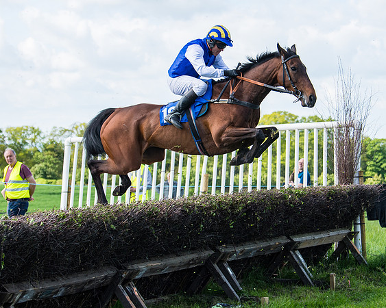Race 5 - 2m5f Maiden (50 of 144)