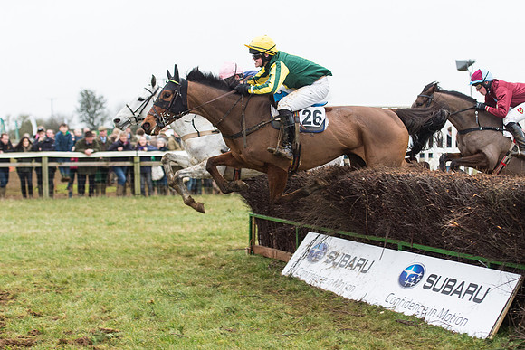 Race 6 - Open Maiden Race Div 2  (52 of 118).jpg