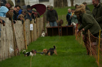 1 -Terrier Races 14