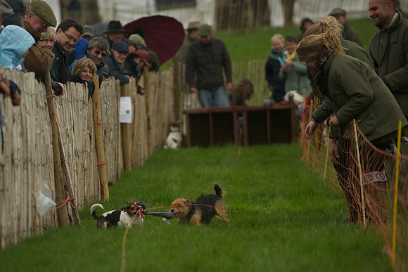 1 -Terrier Races 14