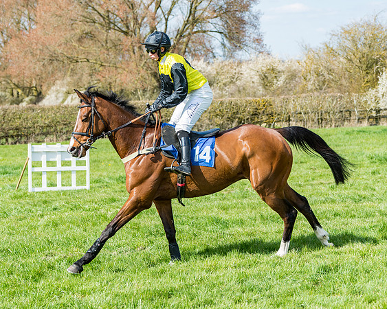 Race 3 -The Richardsons Accountants Conditions Race for Novice Riders  (54 of 154)