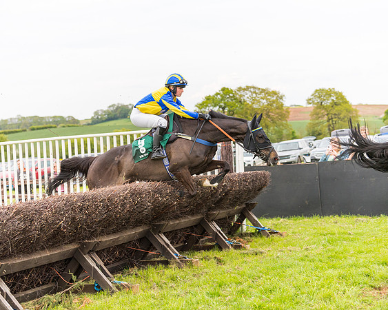 Race 7 - Veteran Horse conditions (109 of 244)