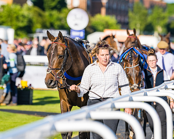 Race 3 - John Corbet Cup (12 of 127)