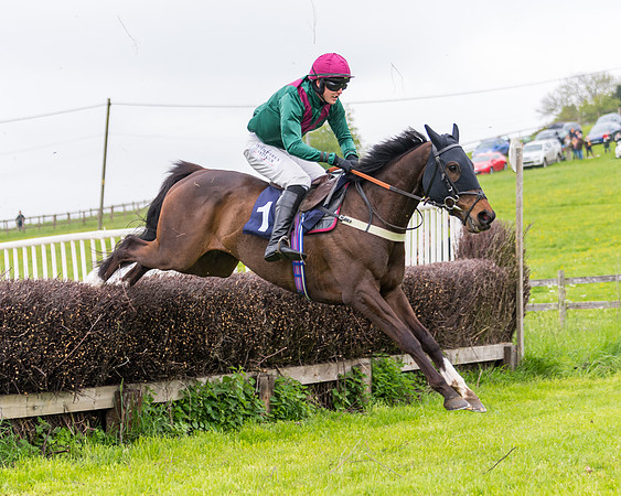 Race 2 - Five and Over restricted (97 of 136)
