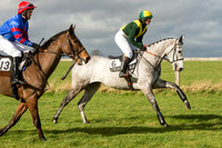 Race 2 - Young Horse Maiden (15 of 110).jpg